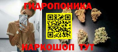 крисы Жуковский