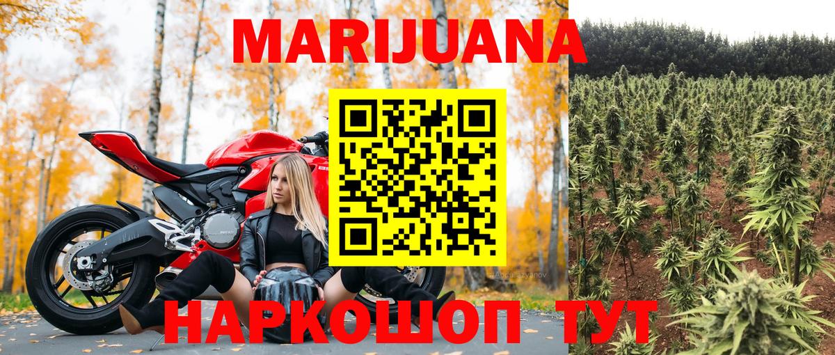 Отрадное  Каннабис White Widow  Шишки марихуана ГИДРОПОН  Вход с VPN  Каннабис сатива 