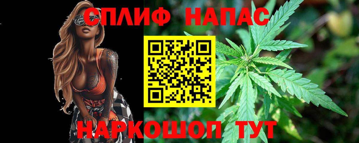 Бошки Шишки гибрид Отрадное
